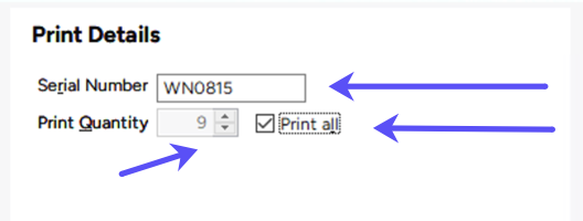PC version. Promo Stamps. Print details. Arrows to Serial Number, Print Quantity, & Print all checkbox.